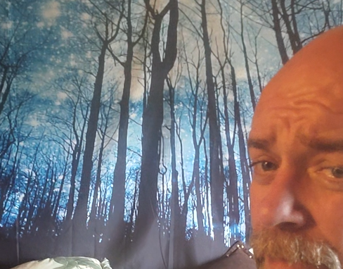 A man sitting on a bed with a tapestry of a forest in the evening with bare trees, and a dog laying on pillows looking at the man