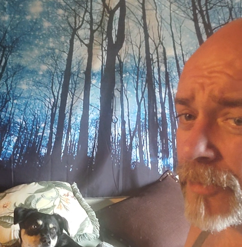 A man sitting on a bed with a tapestry of a forest in the evening with bare trees, and a dog laying on pillows looking at the man